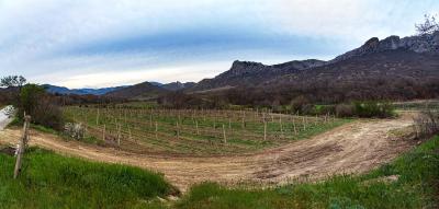 Прикрепленное изображение: Панорама_без_названия1.jpg